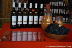 Hlohovecke vinobrani 2016 FDSC_0001