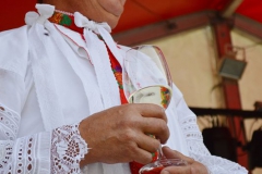 Hlohovecke vinobrani 2016 FDSC_0095