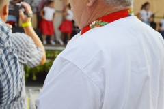Hlohovecke vinobrani 2016 FDSC_0218
